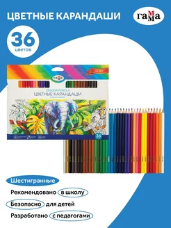 Скидка на Карандаши цветные для рисования мягкие, 36 цветов, для школы