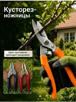 Распродажа 