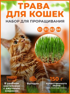 Скидка на Трава для кошек набор для проращивания