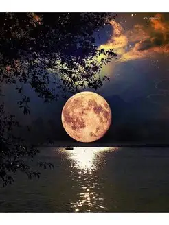 Скидка на Алмазная мозаика Лунная ночь, 34х44см (40х50см)