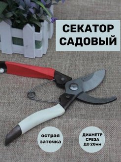 Распродажа 