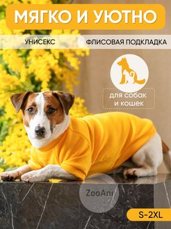 Скидка на Одежда для собак и кошек