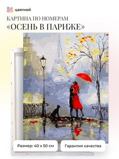 Скидка на Картина по номерам на холсте 40х50 см подрамник