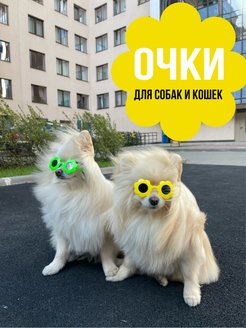 Скидка на Очки для собак для кошек