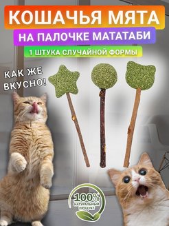 Скидка на Кошачья мята на палочке мататаби