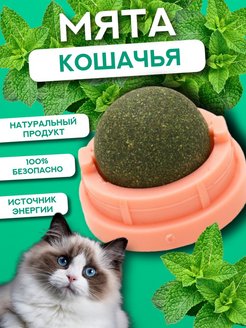 Скидка на Кошачья мята шарик на стену на липучке для кошек котов лизун