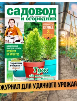 Скидка на журнал Туя где посадить и как ухаживать? №3 24