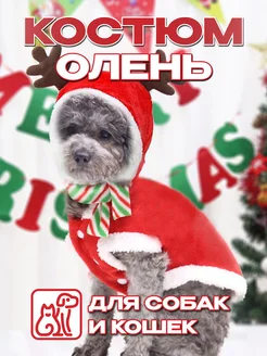 Скидка на Костюм толстовка для собак и кошек олень