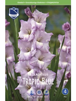 Скидка на Гладиолус Тропик Блю (Tropic Blue), 10 шт