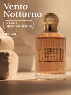Скидка на Парфюмерная вода мужская Vento Notturno 100 мл
