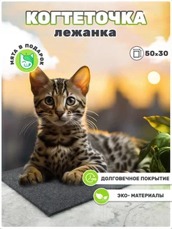 Скидка на когтеточка для кошки